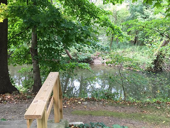 View of Creek