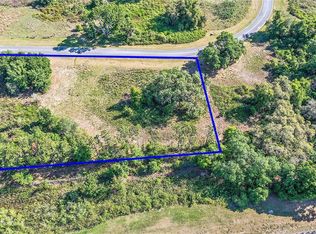 458 Long And Winding Rd, Howey In The Hills, FL 34737