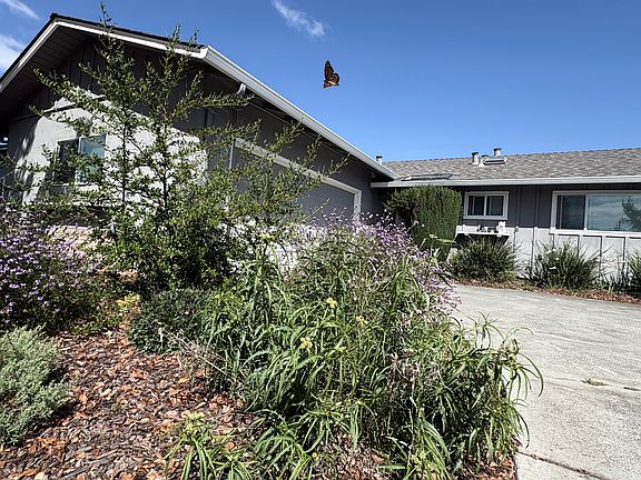 2nd image of 1568 Mallard Way