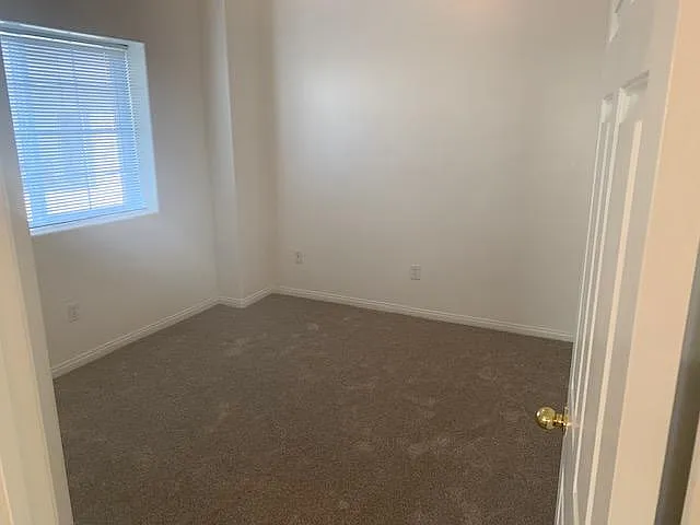 3663 Pine Meadow Dr — Photo 11