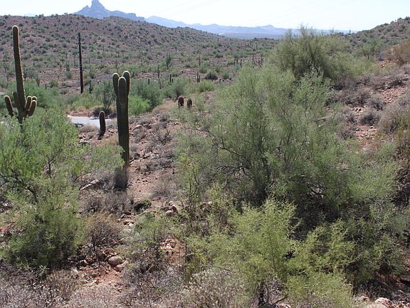 3rd image of 9038 N LAVA BLUFF Trail #13