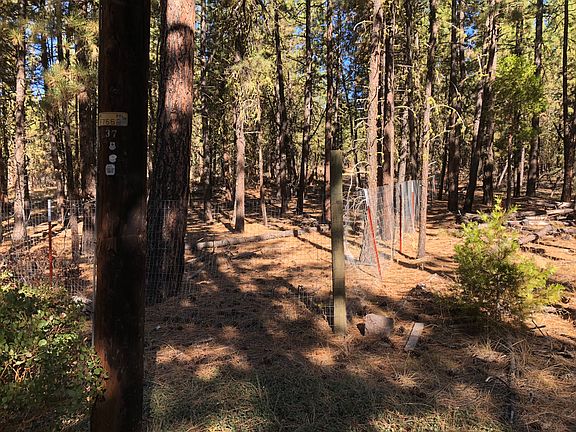 2nd image of 1050 Porpoise Ln