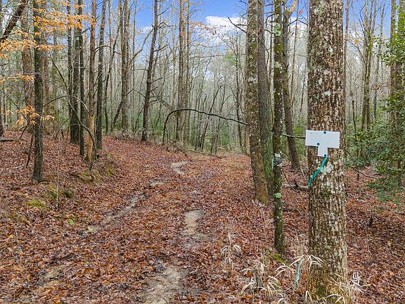 4th image of 5 Still Rd