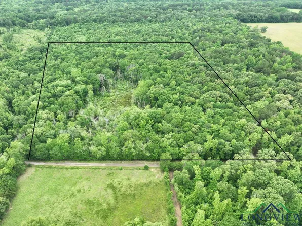 15 Ac Woodchuck Rd, Gilmer, TX 75644