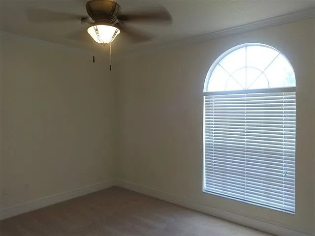 816 Elm Forest Dr — Photo 13