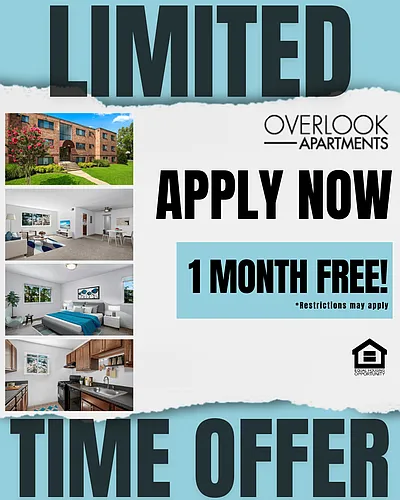 Overlook Apartments Photo 1