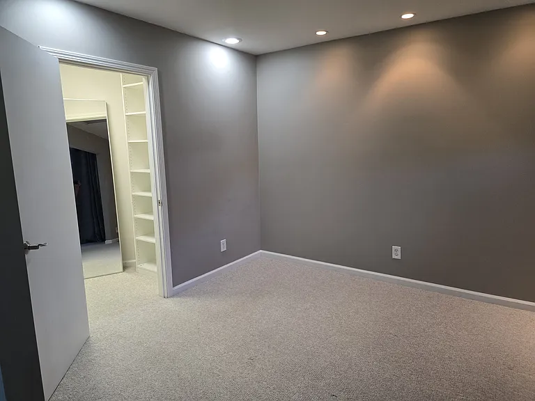 Door open to walk-in closet.