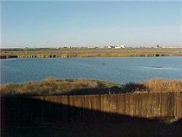 Backyard Lakeview
