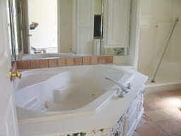 Large garden tub in Master Bath