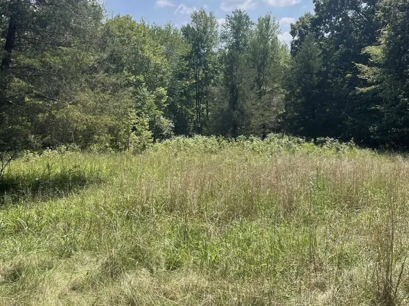 0 Beal Rd #2A, Hardin, KY 42048