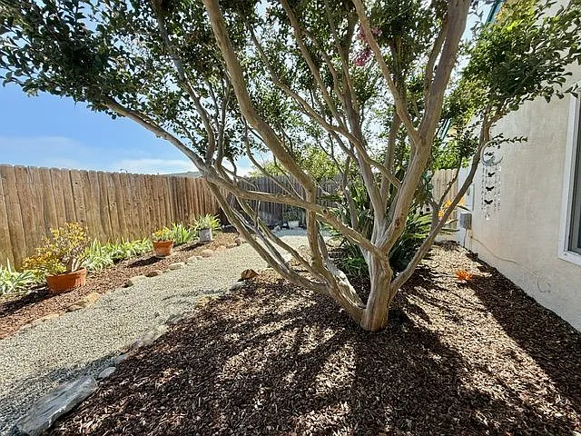 6956 Dove St — Photo 16