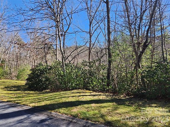 3rd image of 0 Blackgum Ct Lot 349
