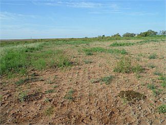 4th image of 18859 E County Road 175