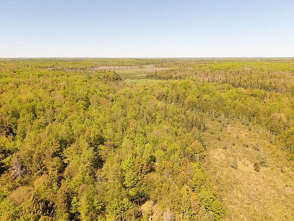 5th image of Island Lake Rd S