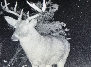 20248 State Highway 27, Richland, GA 31825