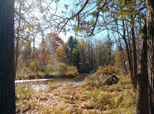 6601 Haz Dr, Afton, MI 49705