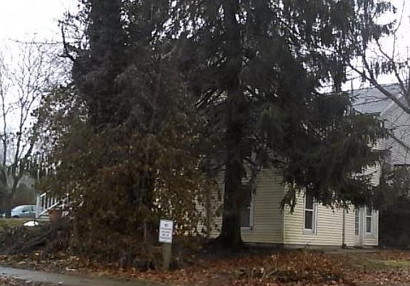 5th image of 106 Ivanhoe Ave