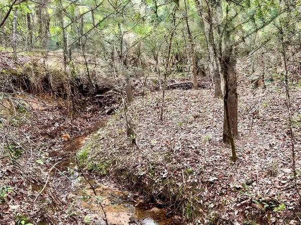 Tony Peebles Rd, Livingston, TX 77351