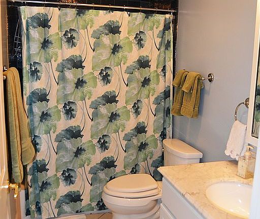 Lower Level Bathroom