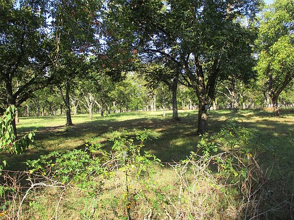 5th image of 160 Rains County Rd #2181