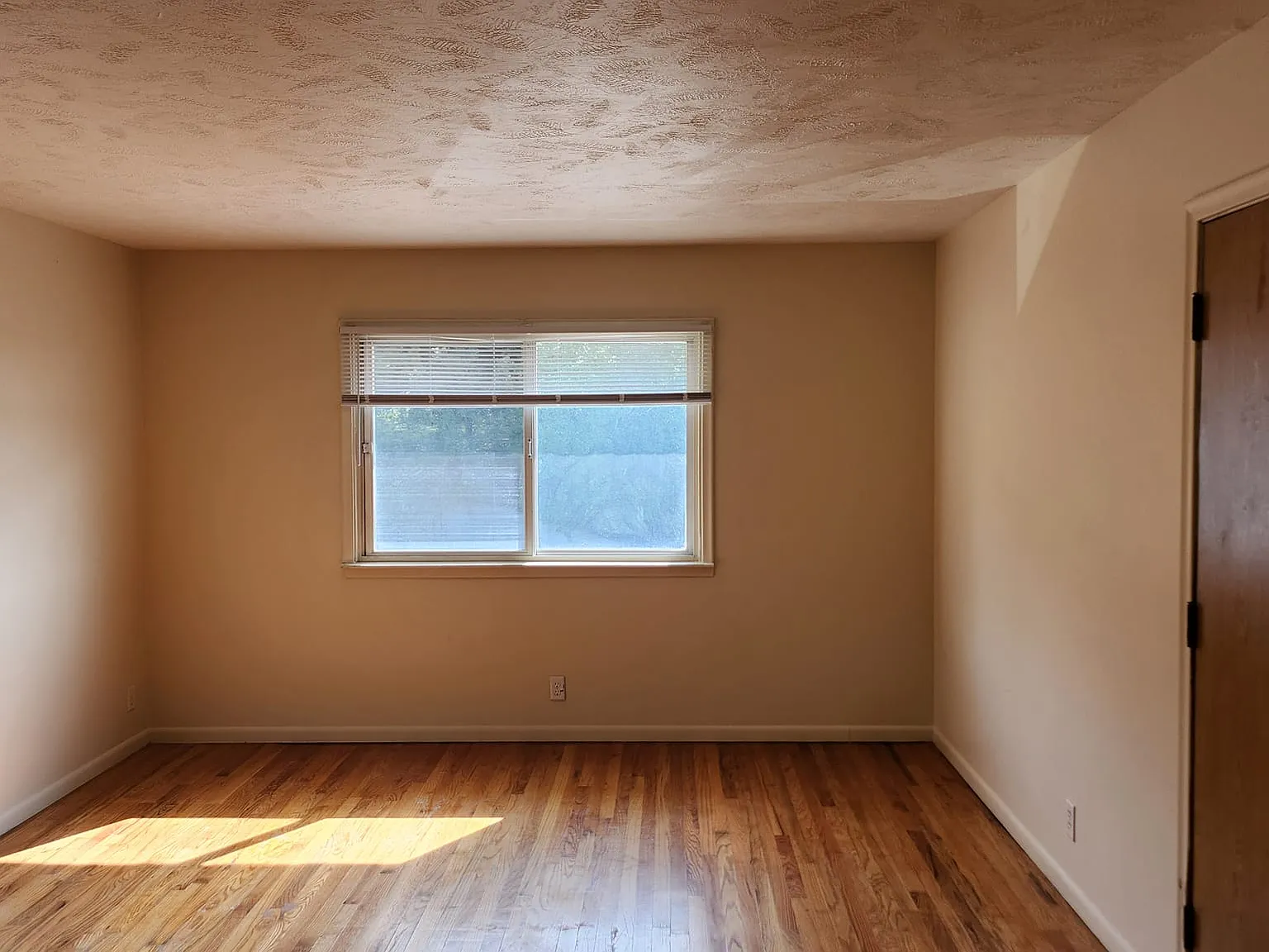2 bed, $800 — Photo 2