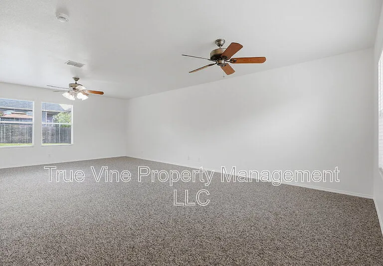 136 Texas Mulberry — Photo 23