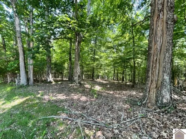 LOT 48 Malcolms Cove Rd, Cadiz, KY 42211
