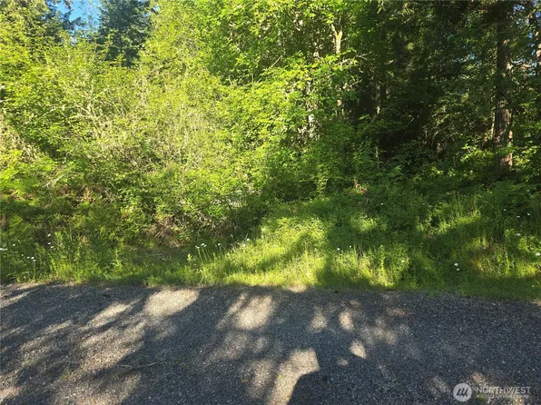 13811 Starflower Lane SE, Yelm, WA 98597