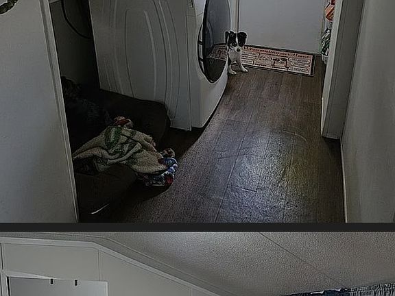 2nd image of 3146 Calder Dr