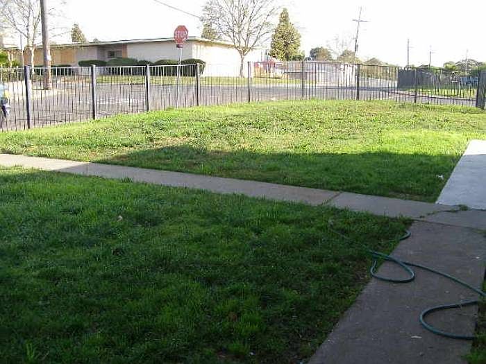 Front yard