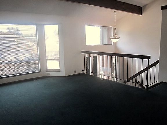 newer carpet/huge area