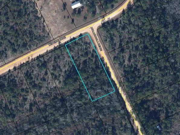 0 Nezperce Dr, Alford, FL 32420