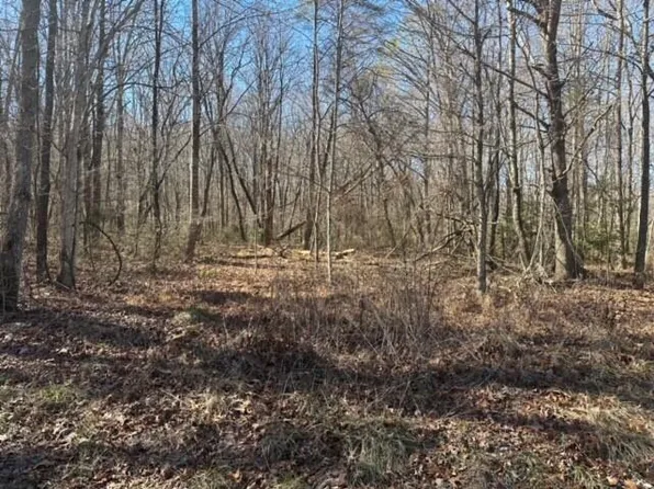 1 Newt Meeks Rd, Tracy City, TN 37387