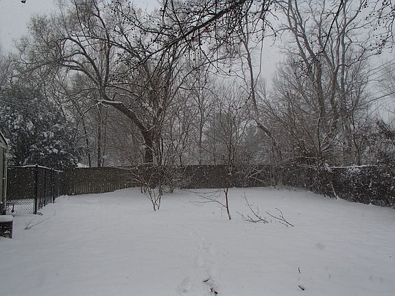 Property Rear View