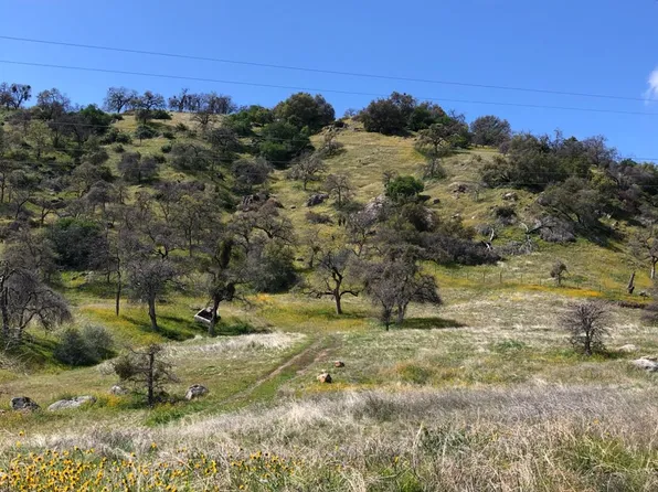0 Deerbrook Ln, Squaw Valley, CA 93675