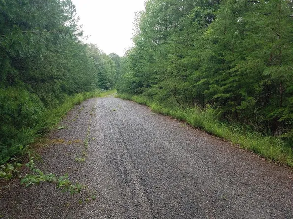 151 Indian Trail Dr Lot 55, Spencer, TN 38585