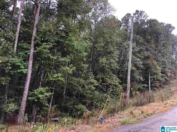 13 Hickory Ln #13, Odenville, AL 35120