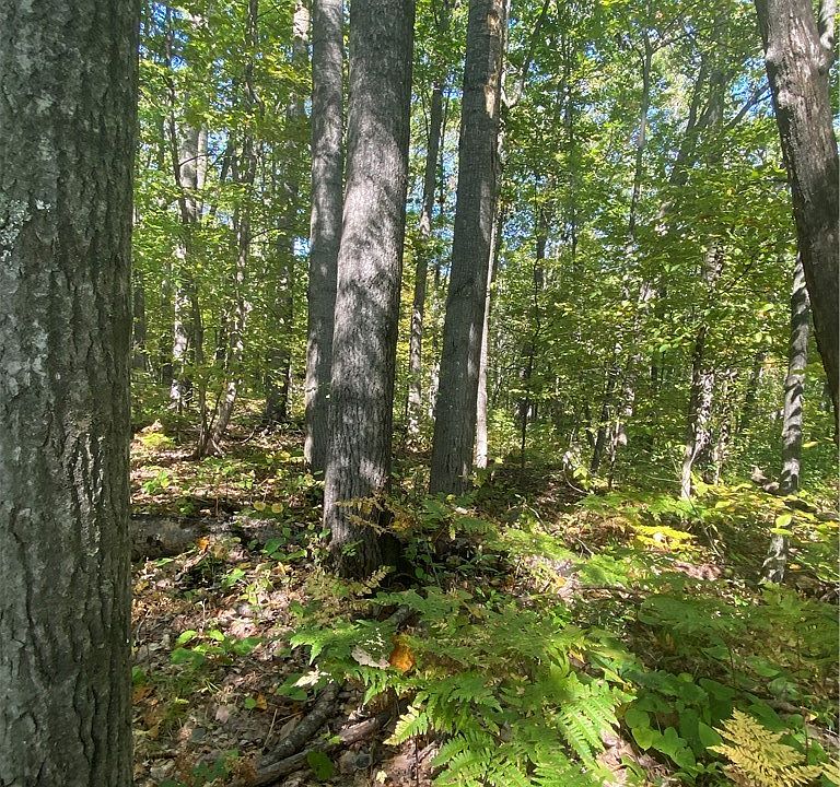 1st image of 5 Acres Town Hall Road