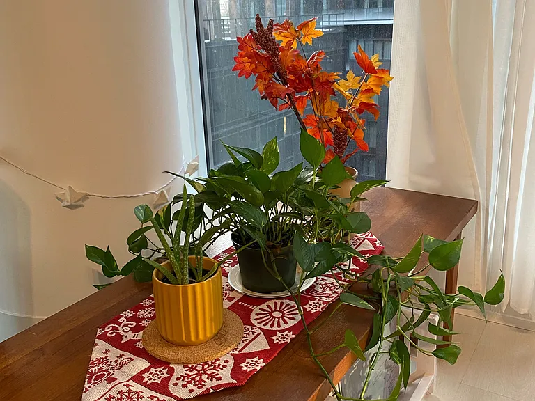 15 Mercer St #711 — Photo 2