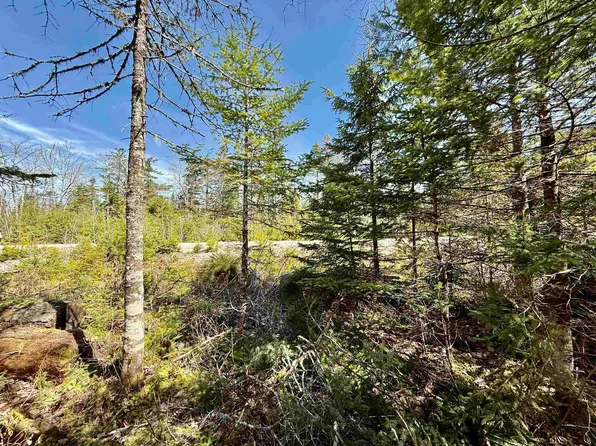 Dynasty Ct Lot 32, Sherwood, NS B0J 1J0