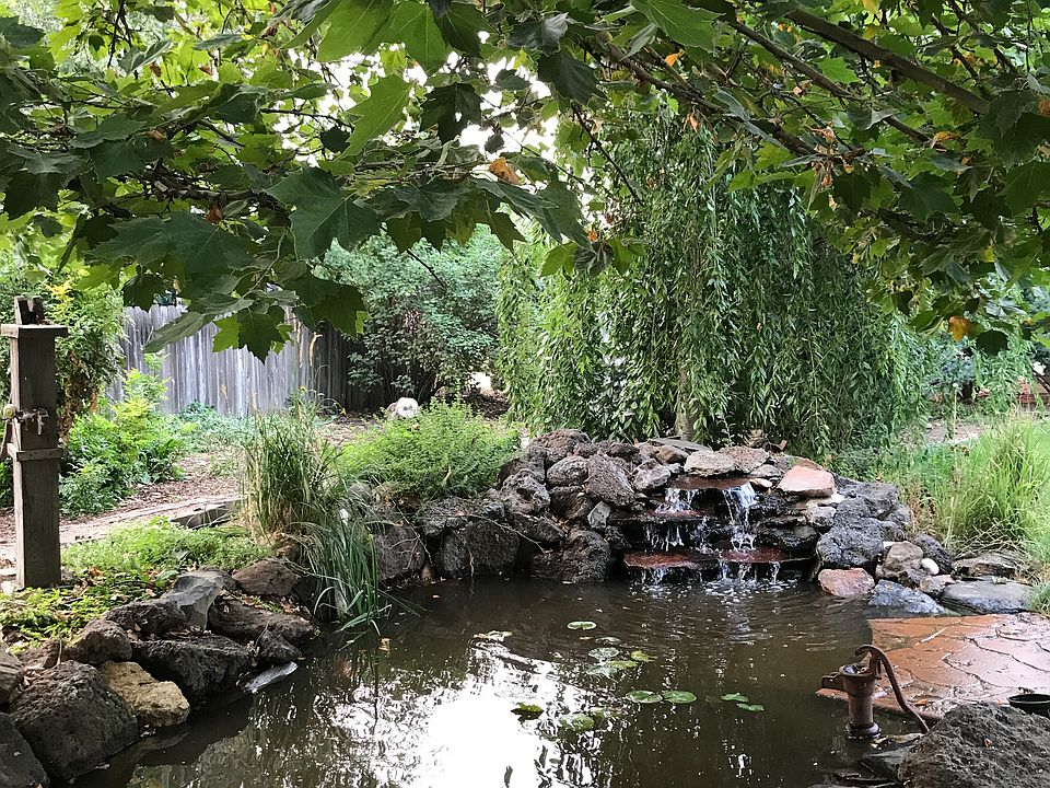 pond back yard