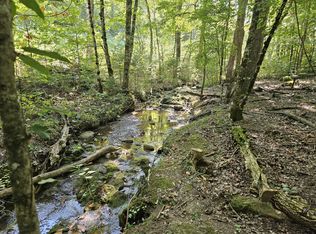 1656 Ponderosa Rd, Del Rio, TN 37727