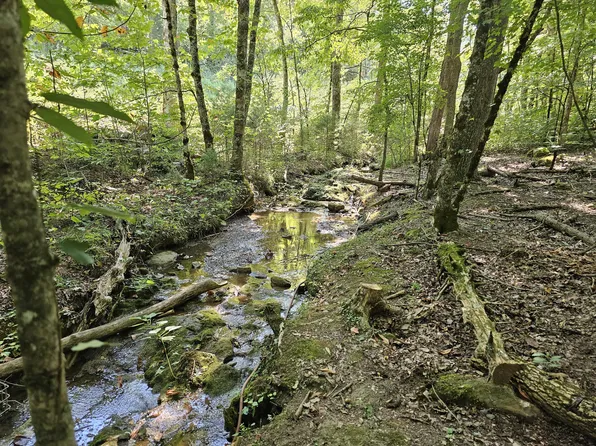 1656 Ponderosa Rd, Del Rio, TN 37727