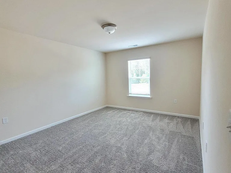 234 Ribbon Rail St — Photo 37