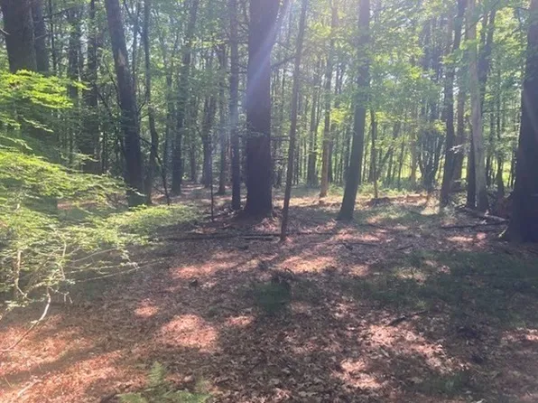 107-107 Mill St #B, Dunstable, MA 01827
