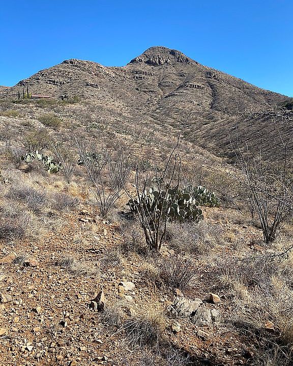 2nd image of 361 Camino Canoa