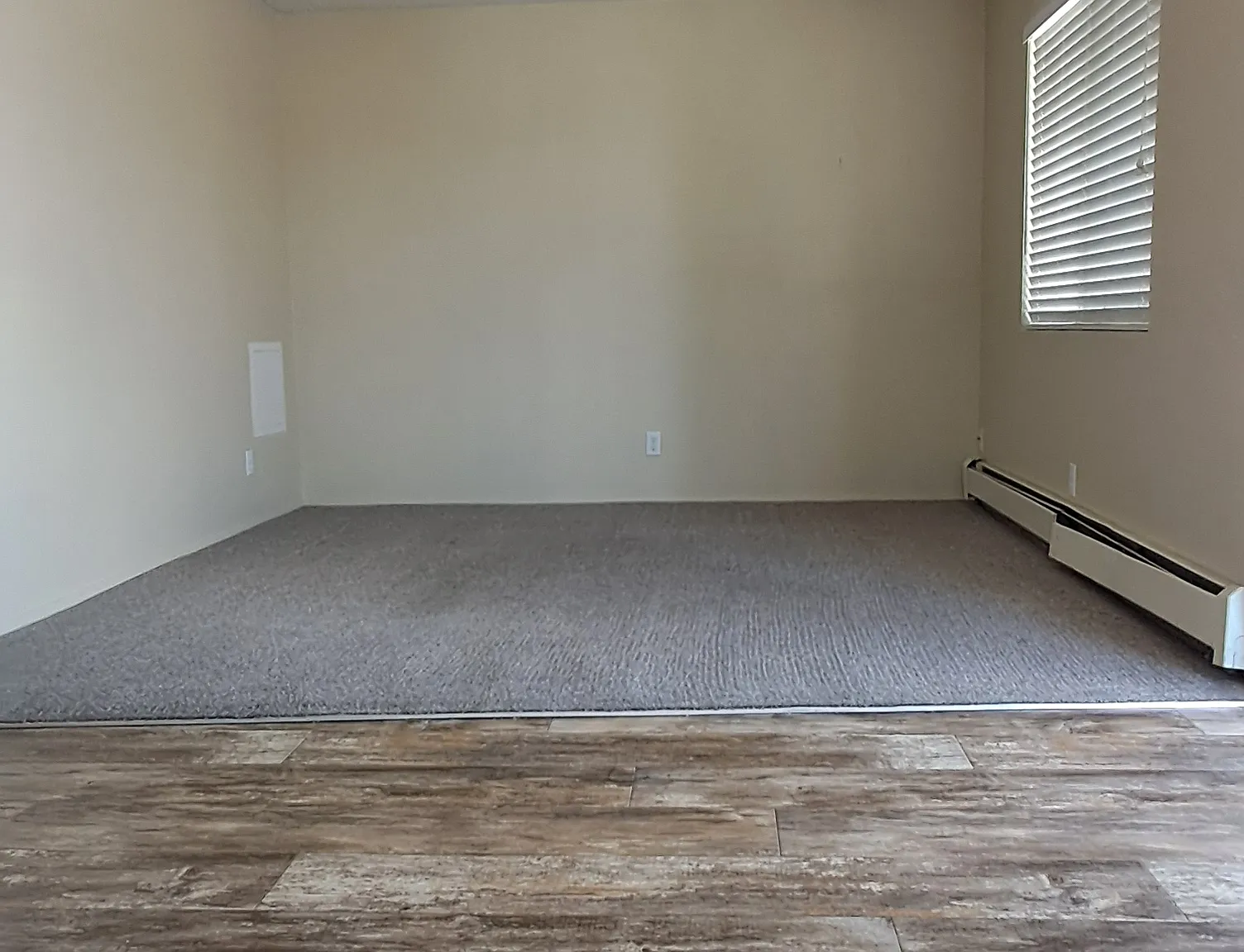 2 bed, 800 sqft, $1,350 — Photo 1