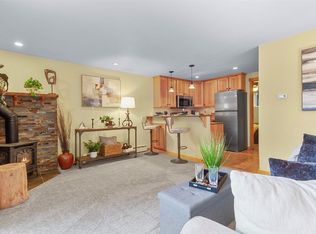 361 Salt Lick Cir #361, Silverthorne, CO 80498