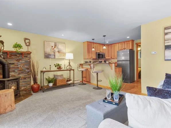 361 Salt Lick Cir #361, Silverthorne, CO 80498