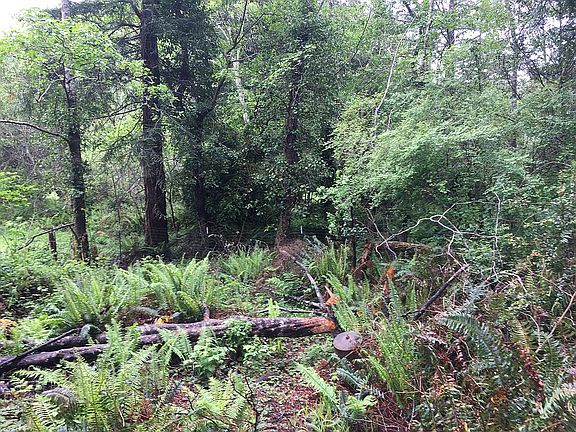 2nd image of 951 Kingdom Rd